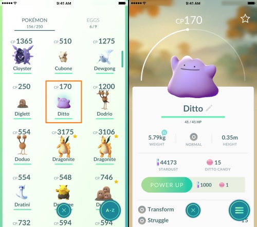 ditto pokemon go