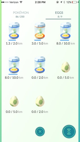 egg incubator status