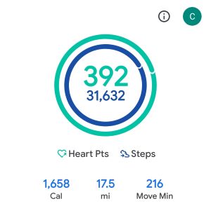 google fitness recorded steps