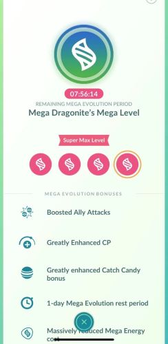 mega evolution levels example