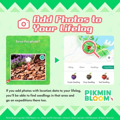 pikmin bloom add photo to lifelog