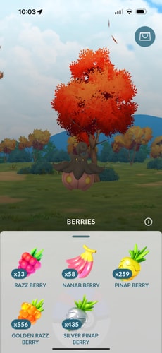 pokemon go catch berry ui