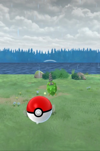 pokemon go catching screen