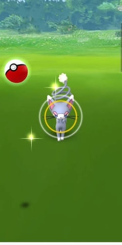 Pokémon GO catch screen with a white outer ring and yellow inner target circle on Glameow