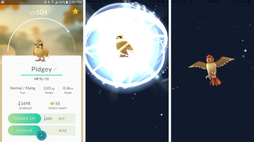 pokemon go evolution process