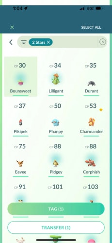 Multi-select transfer screen with TRANSFER button showing selected Pokémon for batch transfer