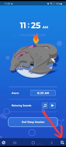 pokemon-sleep-start-session-tracking