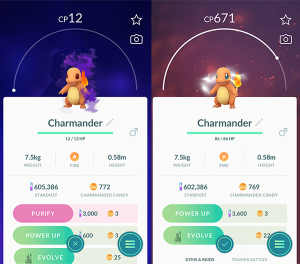 purify-a-shadow-pokemon.png