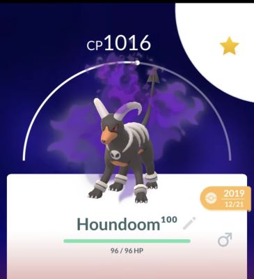 shadow houndoom