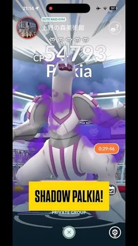 shadow palkia raid