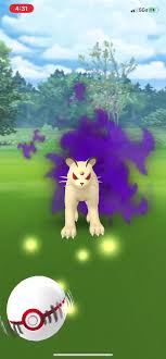 shadow persian