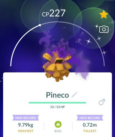 shadow pineco