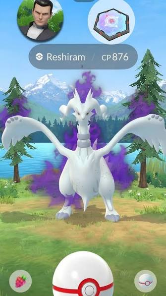 shadow reshiram