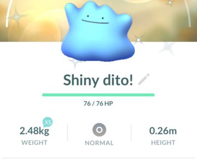 shiny ditto