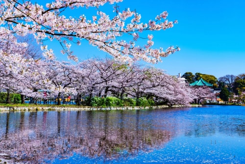 ueno park tokyo